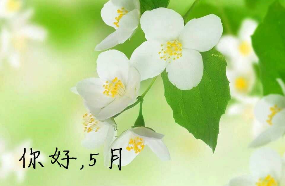 【仲夏5月】-成都、長沙 、桂林 、青島、南京 ......6月我們在哪里相見？